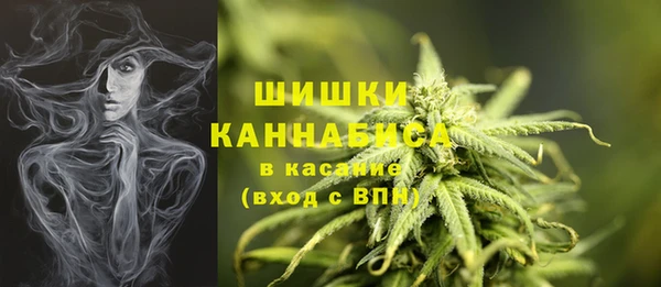 эйфоретик Каменка