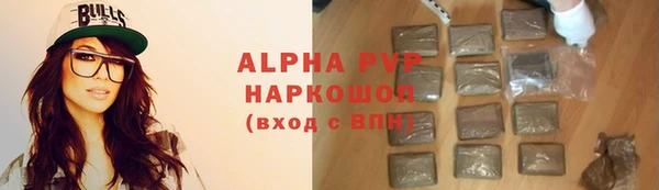PSILOCYBIN Карталы