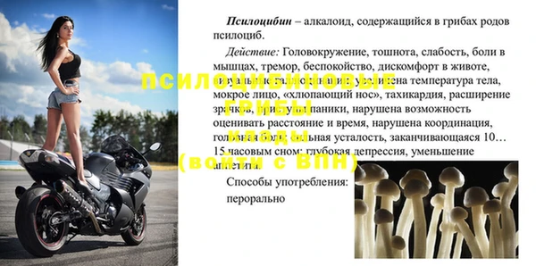 эйфоретик Каменка