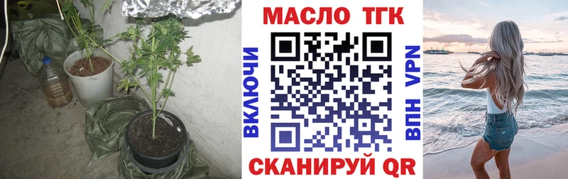 Купить где  Гдов  ТГК концентрат 